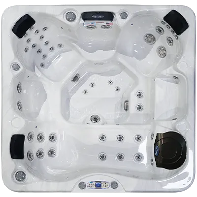 Avalon EC-849L hot tubs for sale in Dothan