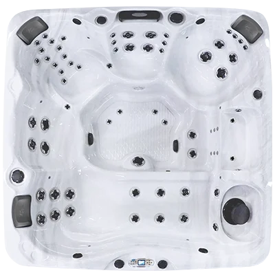 Avalon EC-867L hot tubs for sale in Dothan