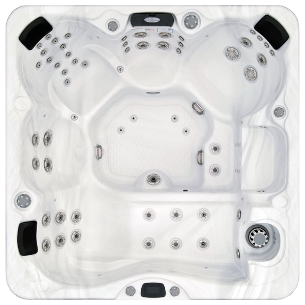 Avalon-X EC-867LX hot tubs for sale in Dothan